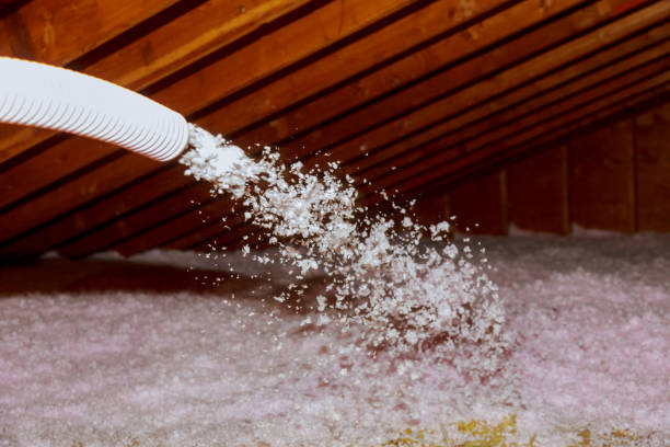 Best Residential Insulation in Grafton, ND