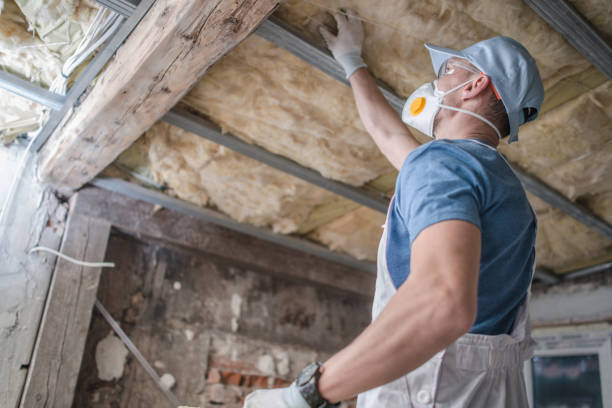 Types of Insulation We Offer in Grafton, ND